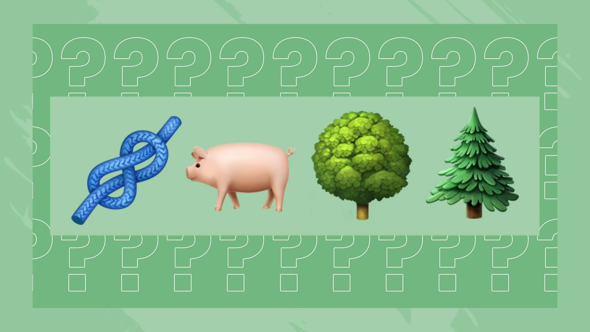 考职业生涯 考职业生涯